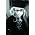 Miniaturansicht von Melody Gardot