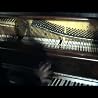 Pain Of Salvation- Linoleum