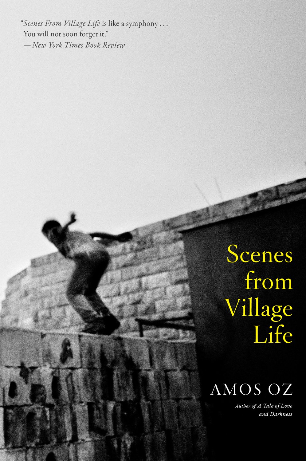 Scenes from Village Life - Amos Oz，Nicholas de Lange