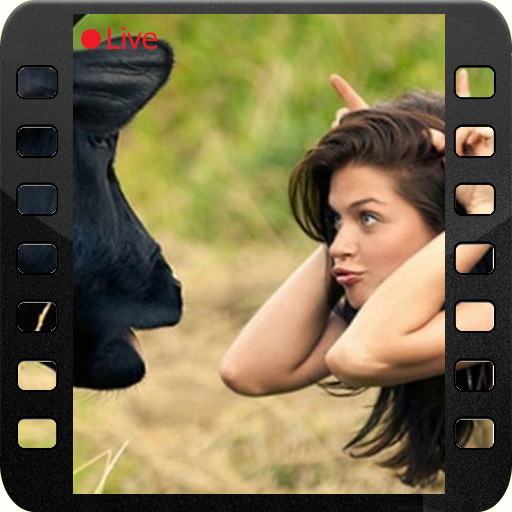 Funny Videos