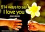214 Ways To Say I Love You