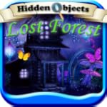 Hidden Objects Lost Forest