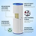 Swimara PRB25-IN 2-Pack, 25 Sq.Ft Pleated Filter Cartridge 