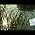Video von Santec Music Orchestra