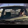 Artist Video