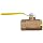 Dixon BBV100 Brass Ball Valve, 1" NPT Female
