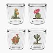 Cactus 12 oz Double-Old-Fashioned Insulated Beverage Tumblers Set, Clear (4 designs)