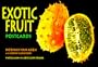 Exotic Fruit Postcard Book