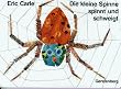 Die kleine Spinne spinnt und schweigt. Ein Tastbilderbuch