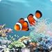 aniPet Marine Aquarium