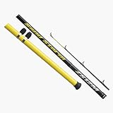 Review DAIWA SPORTS  / Daiwa Sand Storm F 13Ft