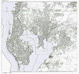 Tampa, FL Street Detail Metro Area LAMINATED ZIP Code Map, wall sized print by WorkingMaps, 41x40.