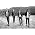 Thumbnail image of The Killers