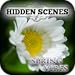 Hidden Scenes - Spring Vibes