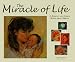 The Miracle of Life: A Parent and Child Book About Britt