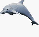 Review Quay  / Dolphin - 4D Puzzle