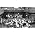 Thumbnail image of Cambridge Singers