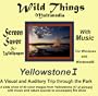 Yellowstone: Multimedia Screen Savers