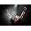 Vignette de Bob Seger