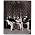 Thumbnail image of Van Halen