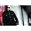 Thumbnail image of Trombone Shorty