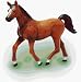 Horse - 4D Puzzle