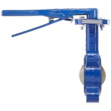 Dixon BFVL300 Ductile Iron Threaded Lug Style Butterfly Valve with Aluminum Bronze Disc and Buna-N liner, 3" Size, 200 psi Pressure