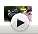 81Tdyd9IvoL._SS28_PImini-player-shuttle-