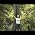 Video von Claudia Hilker
