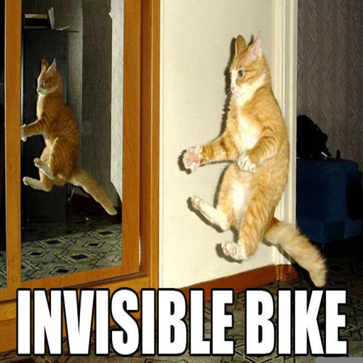 Funny Pictures Videos