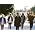 Thumbnail image of The Temper Trap