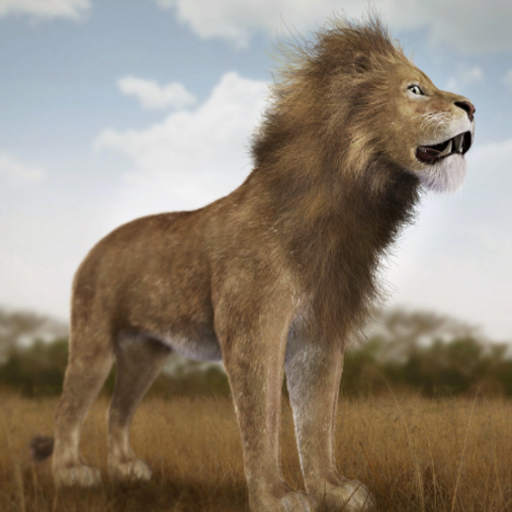 Life Of Lion and Animals