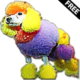 Toddler Color Flashcards Free