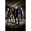 Vignette de Disturbed