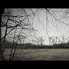 Pulse of the Earth Promo