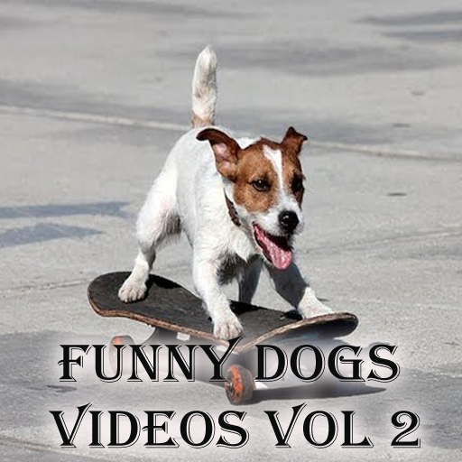 Funny Dog Videos Vol 2