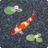 aniPet Koi Live Wallpaper (Free)