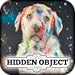 Hidden Object - Clutter Craze