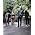 Thumbnail image of The Twilight Sad