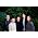 Thumbnail image of The Maccabees