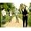 Thumbnail image of Mumford & Sons