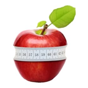 How to Lose Weight