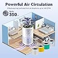 Petox Core 300 Replacement Filter Core 300-RF