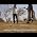 Video of Stephen Davies