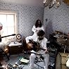 Image of Califone