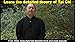 Yang Tai Chi for Beginners Part 1