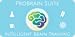 ProBrain Brain Training Suite