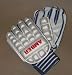 Cricket Batting Gloves - 3 Star