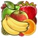 Fruitistry