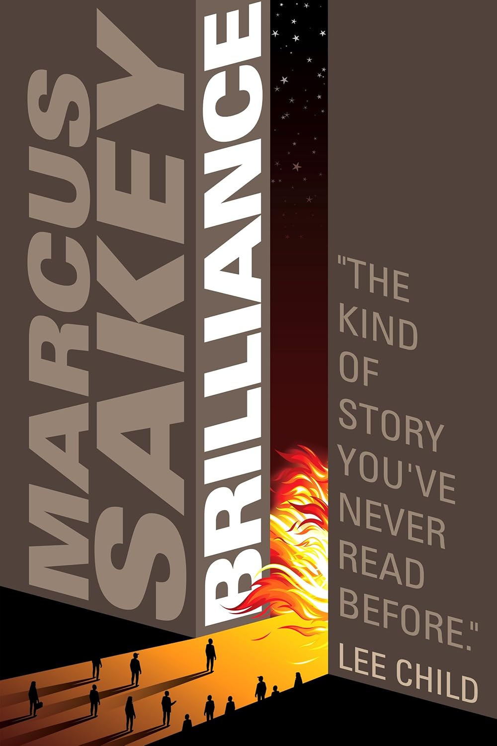 Markus Sakey Brilliance. And a quite brilliant book